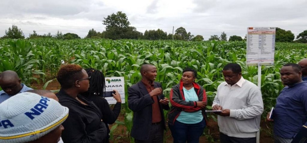 East Africa Youth Inclusion Programme